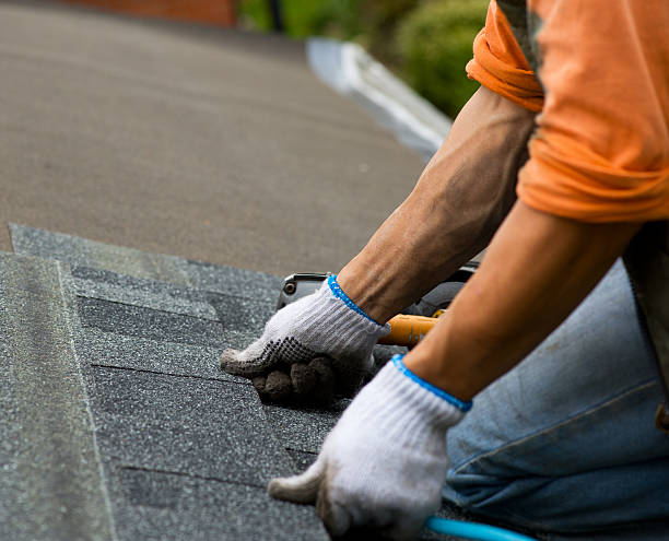 Best Roof Gutter Cleaning  in Parsons, KS